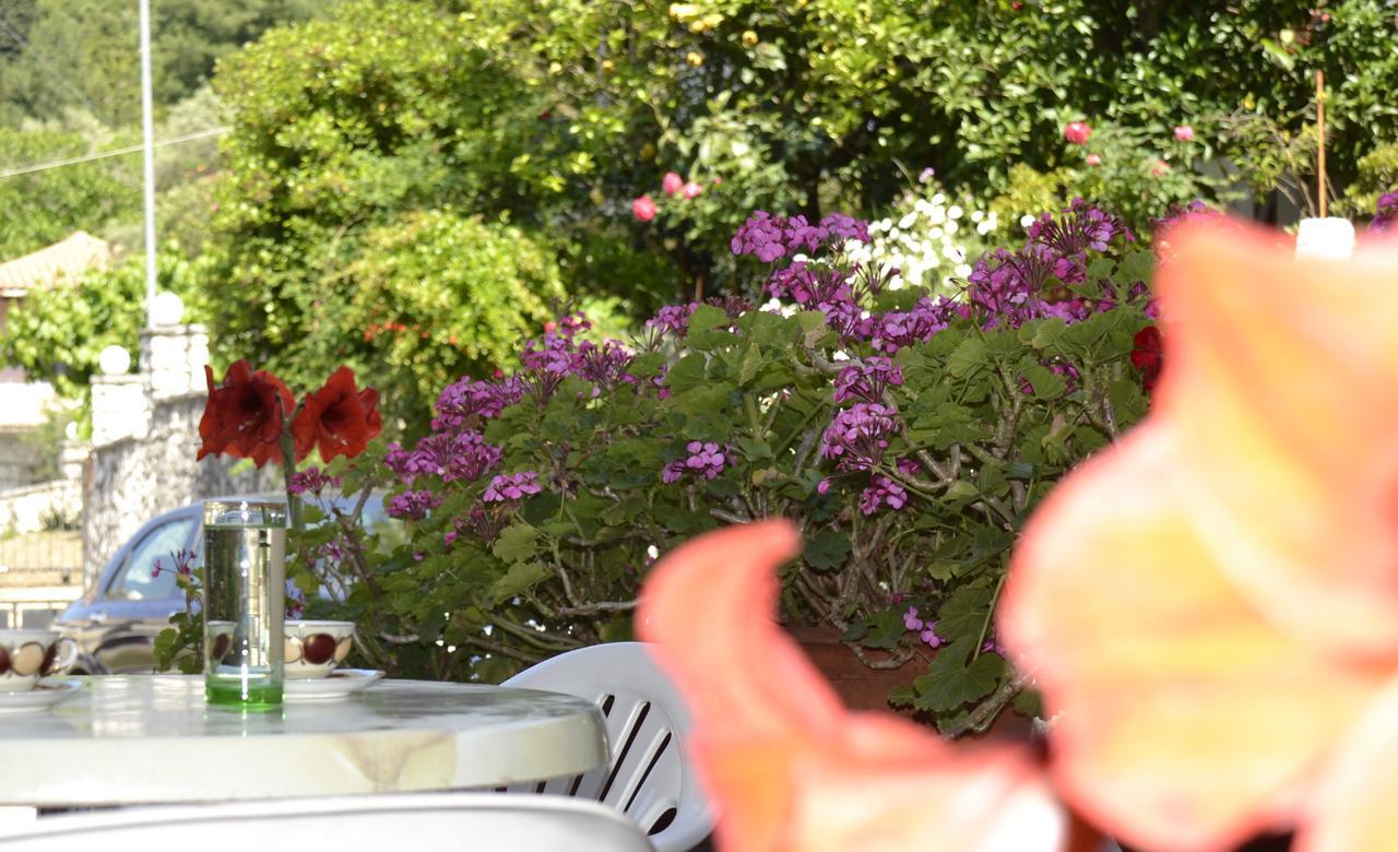 Geroulis Stefanos Studios * Vasiliki (Lefkada)