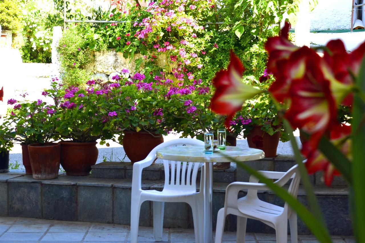 Apartment Geroulis Stefanos Studios Vasiliki (Lefkada)